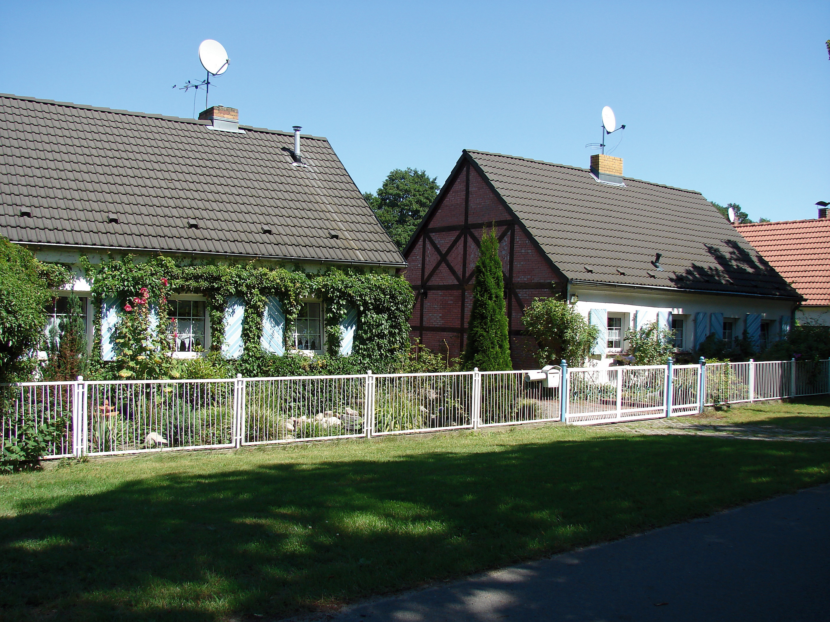 streganz